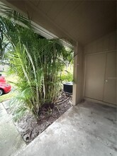 14311 Hanging Moss Cir in Tampa, FL - Building Photo - Building Photo