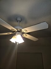 938 Birnham Woods Blvd in Pasadena, TX - Building Photo - Building Photo