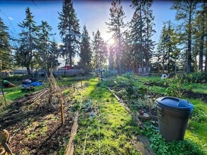 210 Daisy Ln in Sequim, WA - Building Photo - Building Photo