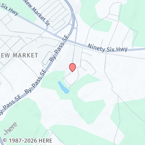 property at 305 Vintage Ct