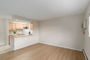 Ridgeview Apartments in Philadelphia, PA - Building Photo