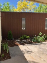 6913 Totara Pl in Longmont, CO - Building Photo - Building Photo
