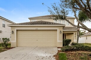 10721 Shady Preserve Dr in Riverview, FL - Building Photo