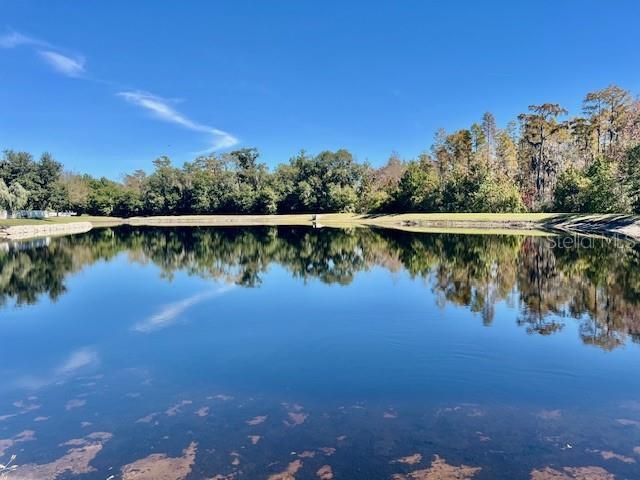 8606 Reedville St in New Port Richey, FL - Building Photo - Building Photo