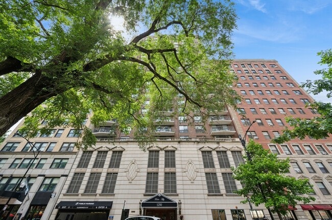 property at 1250 N Dearborn St