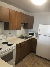 1560 N Sandburg Ter in Chicago, IL - Foto de edificio - Building Photo