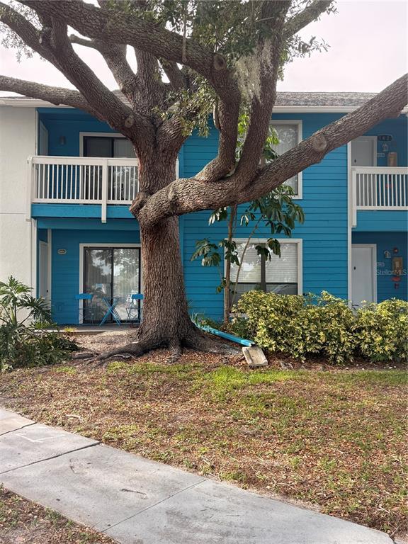property at 455 Alt 19