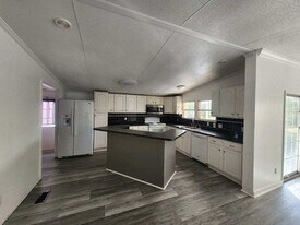 1565 Moonflower St in Middleburg, FL - Building Photo