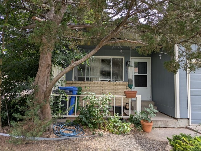 property at 1503 Edora Rd