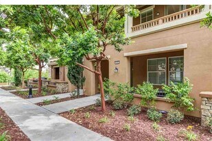 4505 Mirano Ct in Dublin, CA - Building Photo