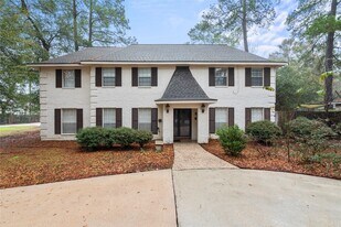 17814 Theiss Mail Rte Rd in Spring, TX - Building Photo