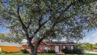 341 Ivy Way in Garland, TX - Building Photo