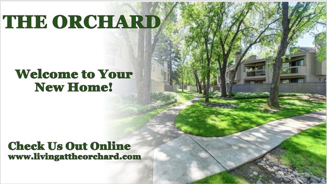 The Orchard Apartments