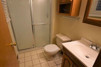 415 Langford Dr in Bolingbrook, IL - Building Photo - Building Photo