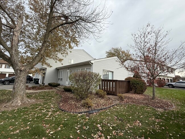 20137 S Hampton Ct in Frankfort, IL - Building Photo - Building Photo