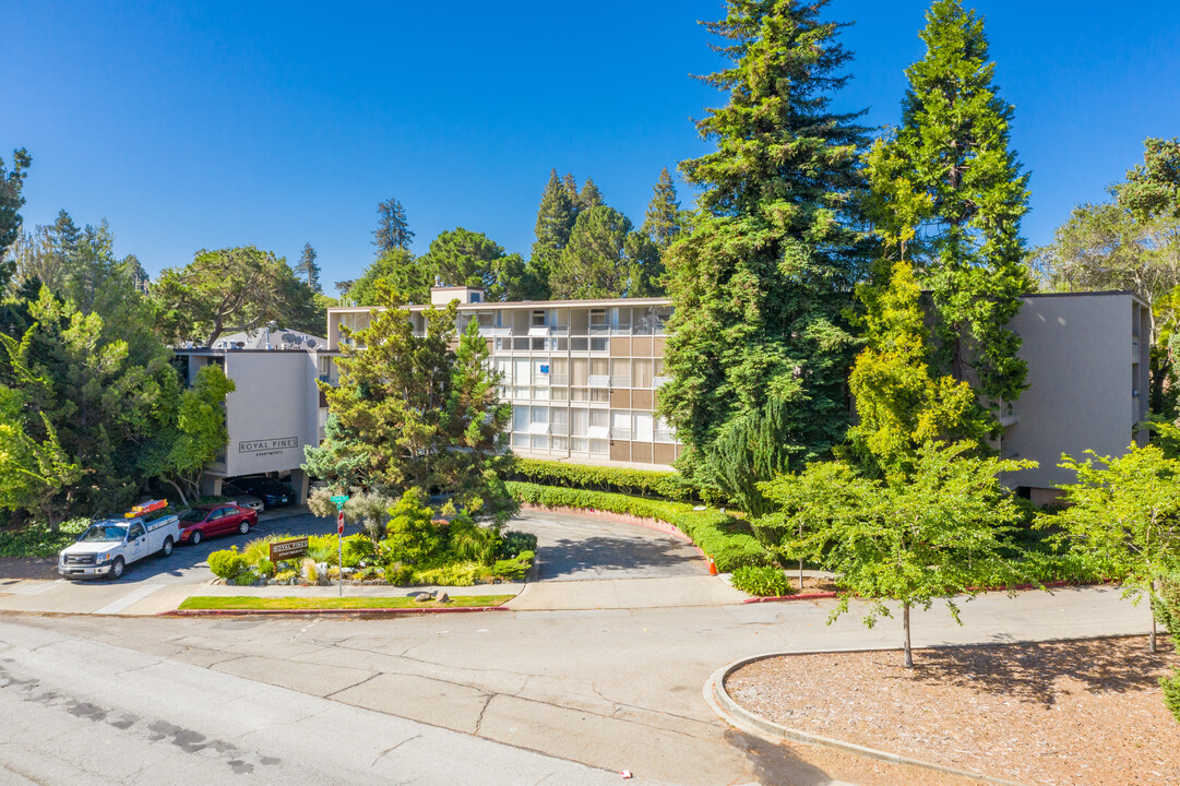 Royal Pines in San Mateo, CA - Foto de edificio