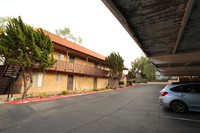 Elan Pointe Vista in Vista, CA - Building Photo - Building Photo