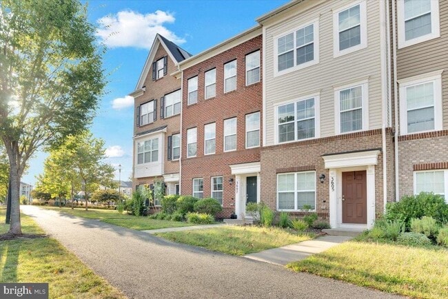 3607 Doc Berlin Dr in Silver Spring, MD - Building Photo - Building Photo