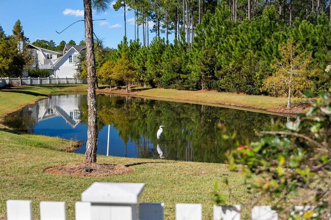 141 Sandchase Cir in Watersound, FL - Building Photo - Building Photo