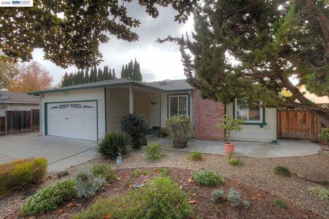 35047 Clover St in Union City, CA - Building Photo - Building Photo