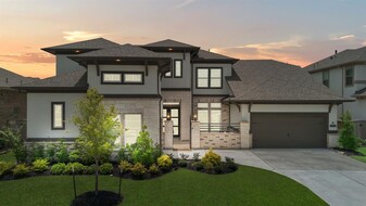 21319 Blue Wood Aster Ct