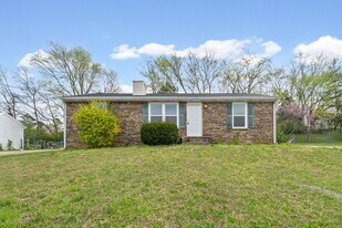 717 Green Valley Ct in Clarksville, TN - Building Photo