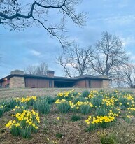 1128 Clayton Dr in Murray, KY - Building Photo