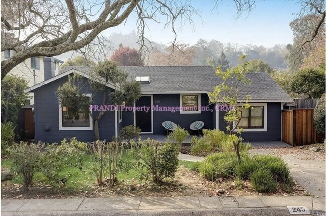 property at 245 Solano St
