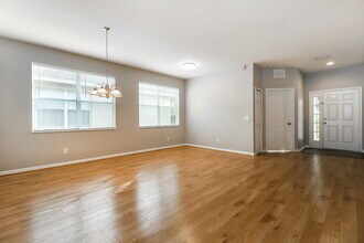 13043 Terrace Springs Dr in Temple Terrace, FL - Building Photo - Building Photo