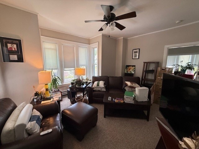 property at 36 Central St
