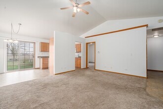 250-260 S McGinty St in Diamond, IL - Building Photo - Building Photo