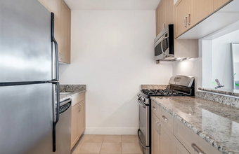 251 W 48th St in New York, NY - Building Photo - Building Photo