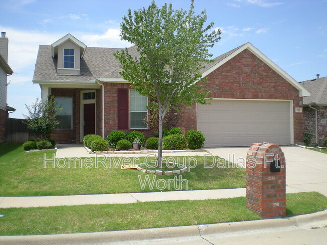 208 Birdbrook Dr in Anna, TX - Building Photo - Building Photo