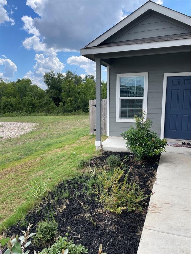 2821 Dezmond Diamond Ct in Pflugerville, TX - Building Photo - Building Photo