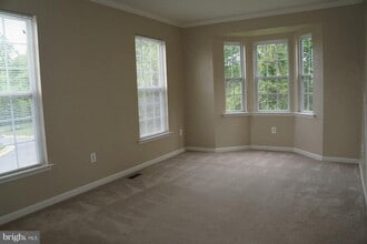 20515 Blue Heron Terrace in Sterling, VA - Building Photo - Building Photo