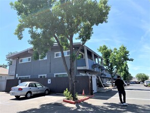 Renovated Apartments at The Brentwood on S... in Carmichael, CA - Building Photo - Building Photo