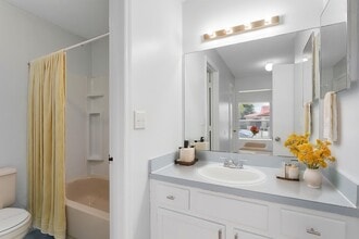 372 Cocoa Ct in Kissimmee, FL - Building Photo - Building Photo