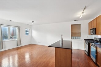 1132 W 13th St, Unit 101 in Chicago, IL - Building Photo - Building Photo