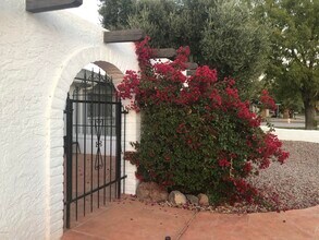 5524 W Vía Camille in Glendale, AZ - Building Photo - Building Photo