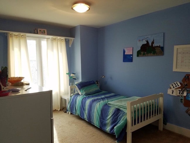 4219 Harrington Ln in Chicago, IL - Building Photo - Building Photo