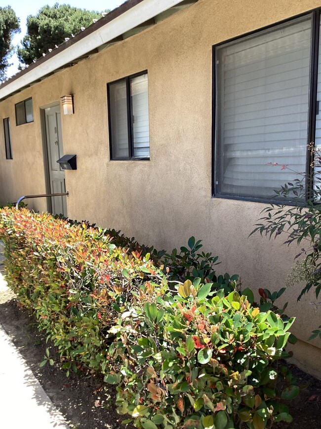property at 219 S H St