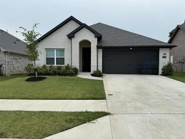 213 Portina Dr in Anna, TX - Building Photo