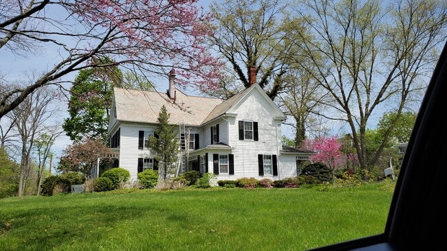 195 S Professor St, Unit #1