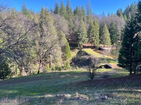 10653 Douglas Ln in Nevada City, CA - Building Photo