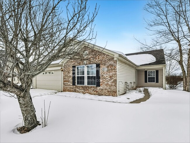 property at 6847 Tadpole Ct