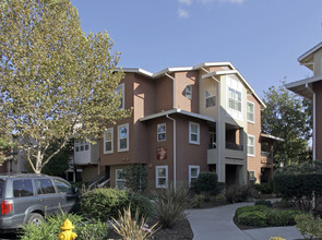 The Lexington Apartments in Davis, CA - Building Photo - Building Photo