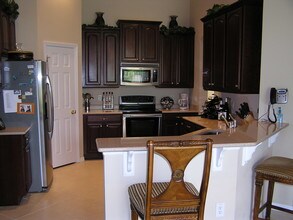 420 Holly Fern Terrace in DeLand, FL - Building Photo - Building Photo