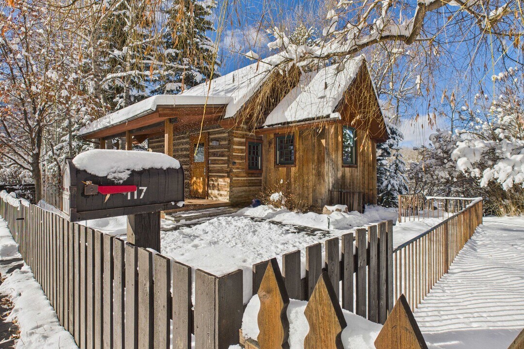 117 Neale Ave in Aspen, CO - Building Photo