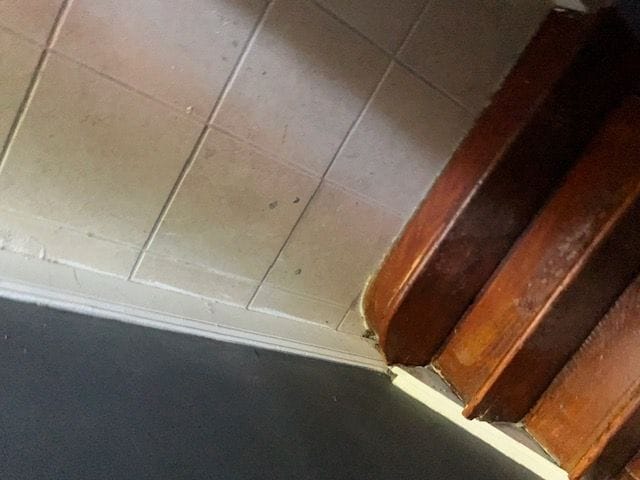 7400 Lawndale Ave in Philadelphia, PA - Foto de edificio - Building Photo