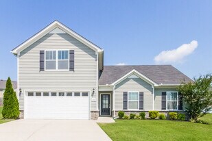 8006 Alydar Ct in Spring Hill, TN - Building Photo